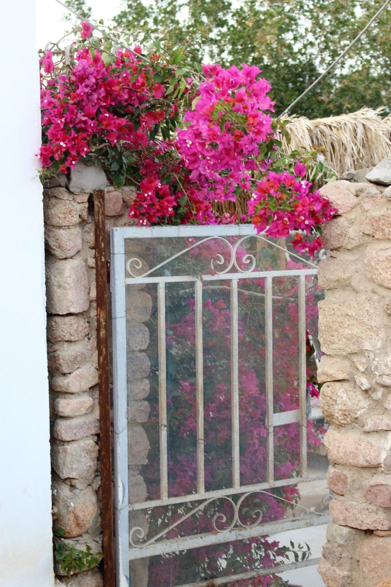שארם א-שייח Sinai Old Spices B&B חדר תמונה