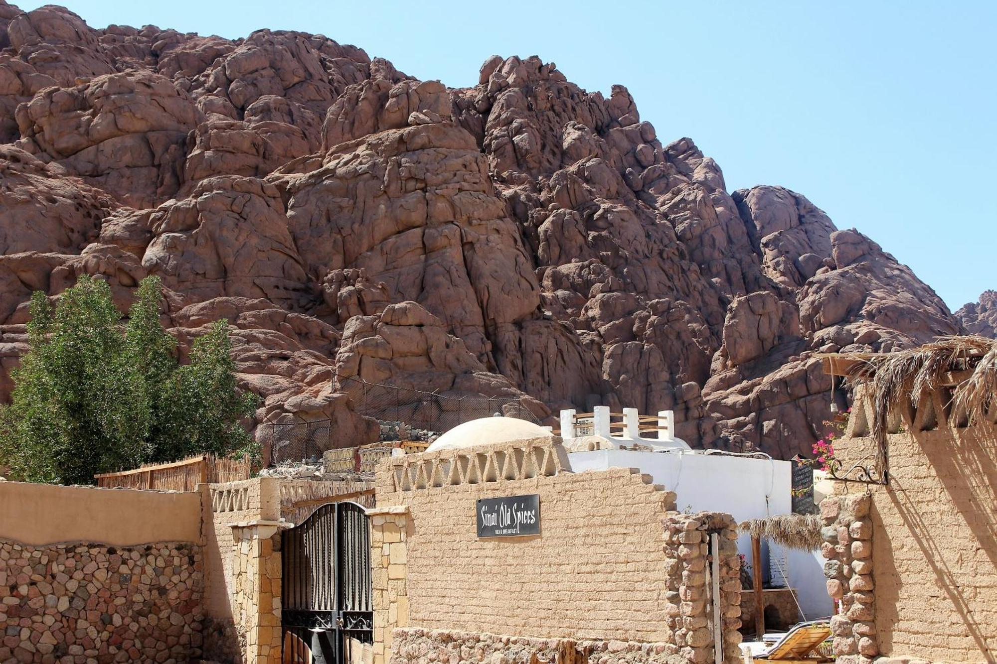 שארם א-שייח Sinai Old Spices B&B חדר תמונה